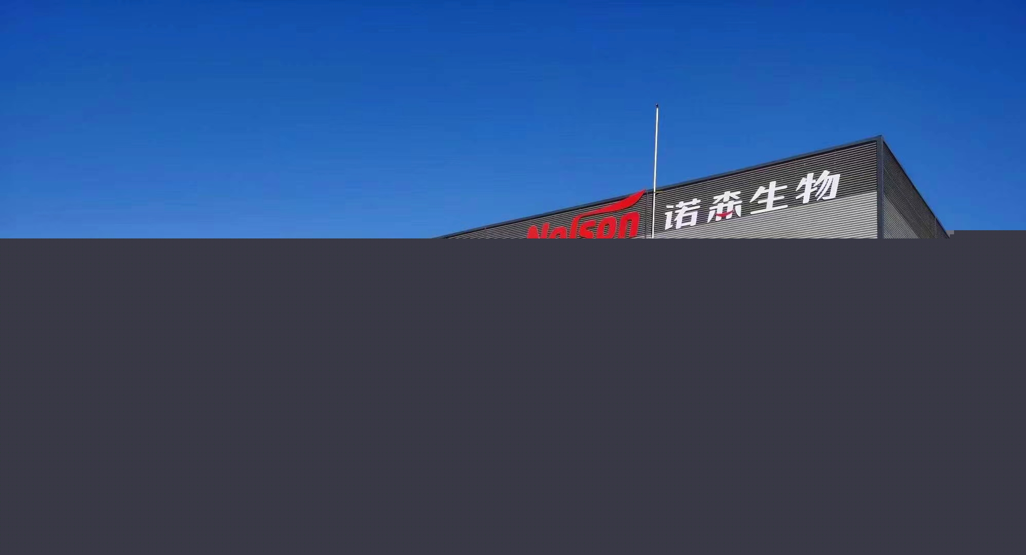 mmexport1652434480450.jpg