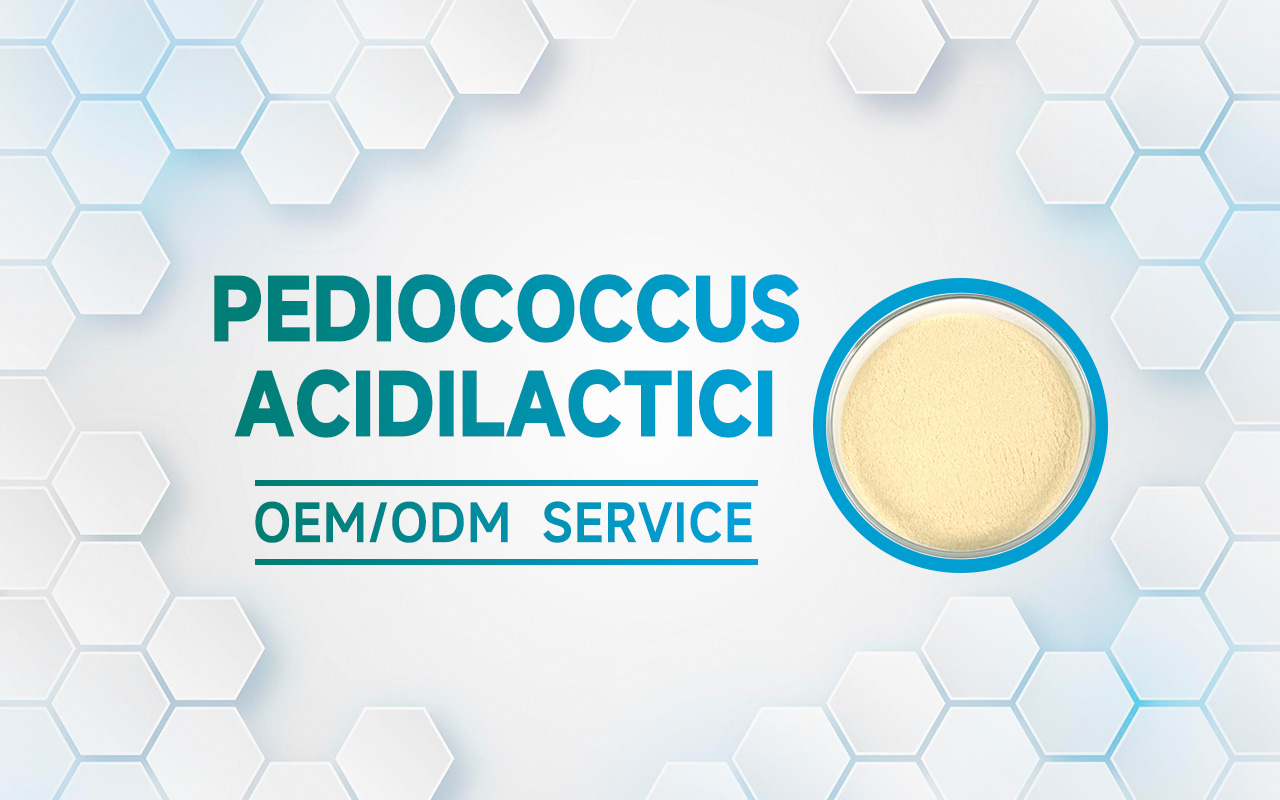 1769560547680723.jpg 乳酸片球菌-1.jpg